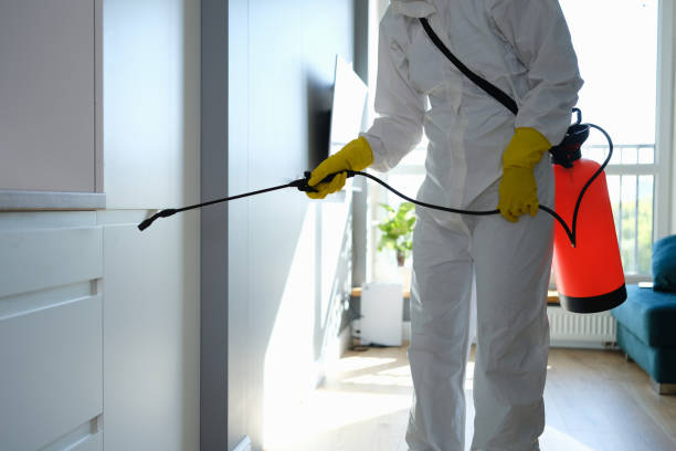 Best Comprehensive Air Testing for Mold Contaminants  in Blackwater, AZ